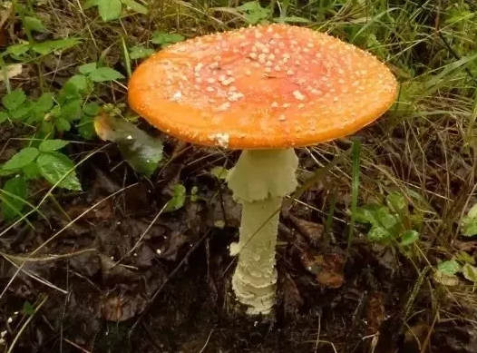 圖片關(guān)鍵詞 圖片關(guān)鍵詞