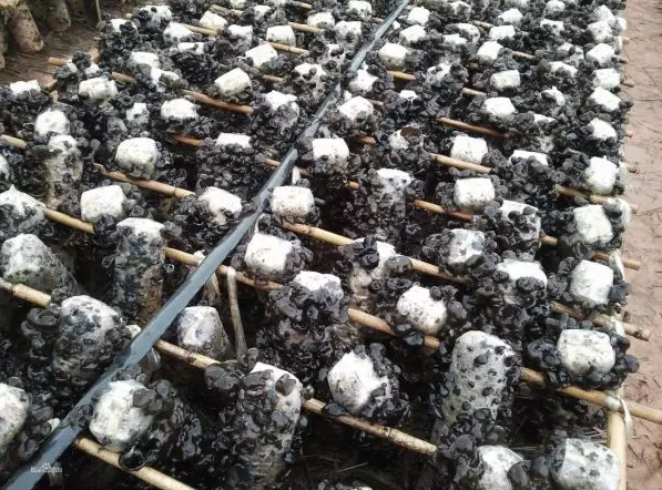 圖片關(guān)鍵詞 圖片關(guān)鍵詞