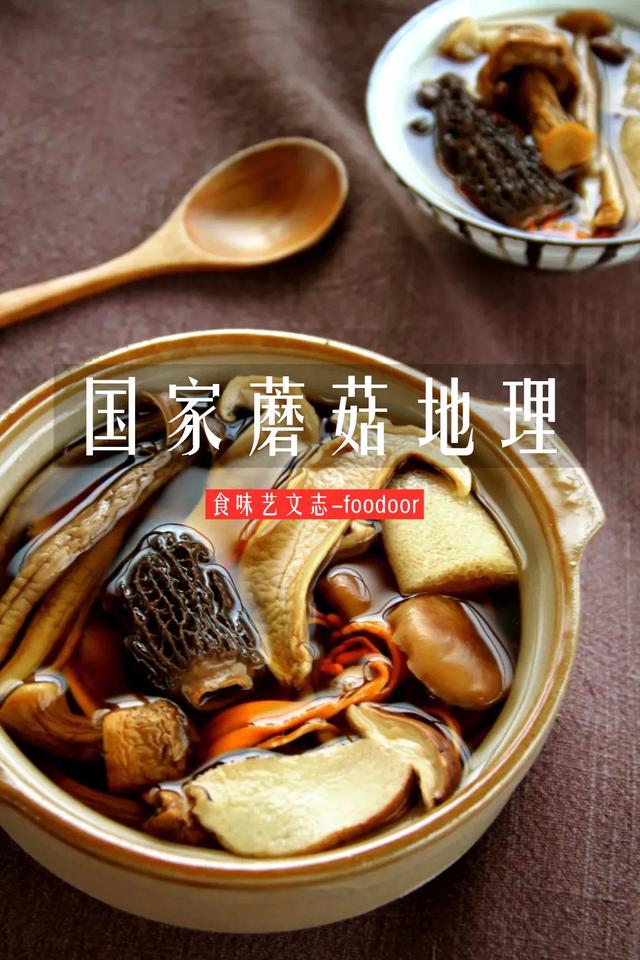 國家蘑菇地理：中國哪里的蘑菇最好吃？