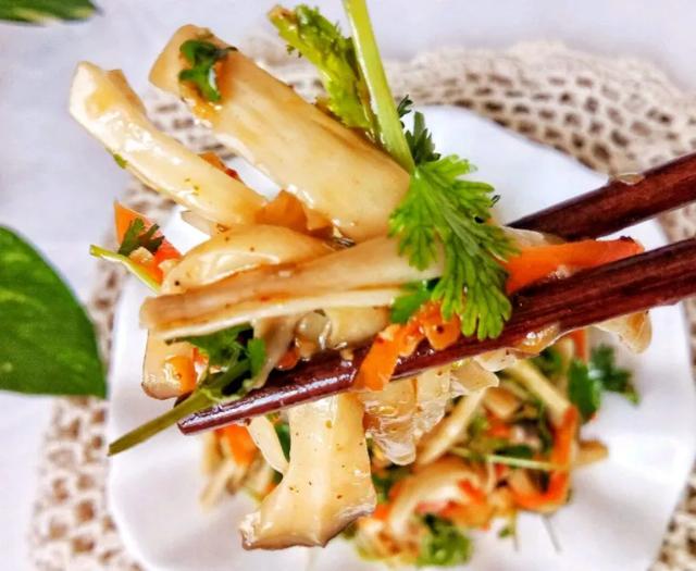 國家蘑菇地理：中國哪里的蘑菇最好吃？