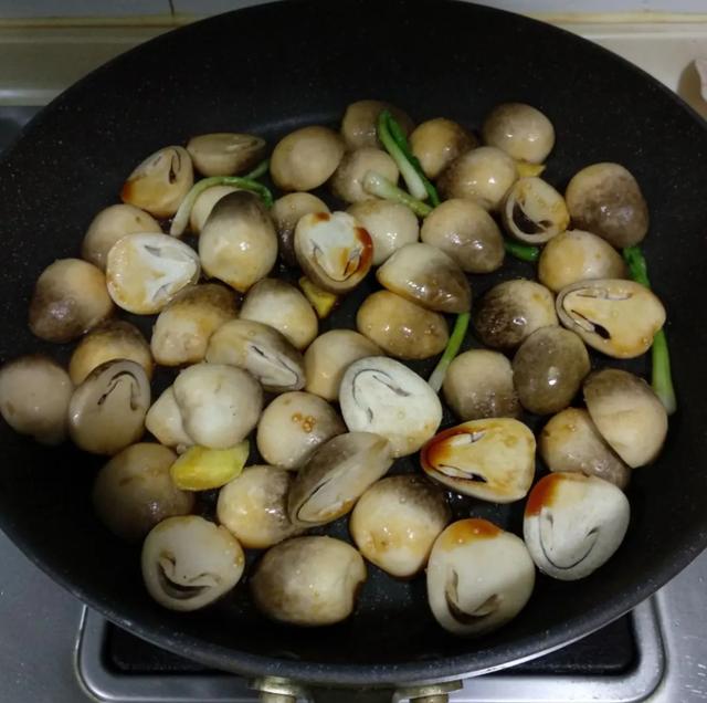 國家蘑菇地理：中國哪里的蘑菇最好吃？