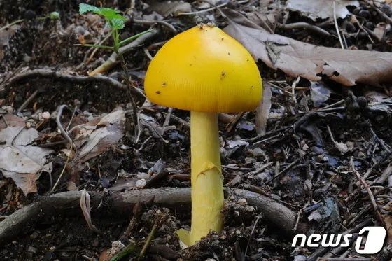 圖片關(guān)鍵詞 圖片